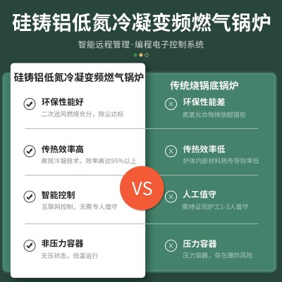 硅铸铝低氮冷凝变频燃气锅炉图2